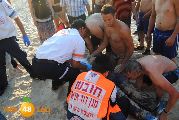 fallen from above 811 (6).JPG